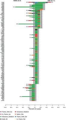 Comparative Analysis of Differentially Mutated Genes in Non-Muscle and Muscle-Invasive Bladder Cancer in the Chinese Population by Whole Exome Sequencing